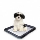 Фото - туалети Nobby Doggy Trainer Туалет для собаки