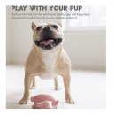 Фото 4 - іграшки Outward Hound ACCORDIONZ PIG іграшка пищалка для собак СВИНКА АКОРДЕОН