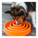 Фото 5 - миски, напувалки, фонтани Outward Hound FUN FEEDER SLO - BOWL миска - лабіринт для повільної їжі для собак