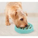 Фото 4 - миски, напувалки, фонтани Outward Hound SLO - BOWL TINY миска - лабіринт для повільної їжі для собак