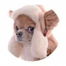 Фото - одяг Pet Fashion - Шапка УШАНКА зимняя для мелких и средних собак