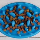 Фото 3 - миски, напувалки, фонтани Pet Home D&C миска силіконова для тварин БЛАКИТНА