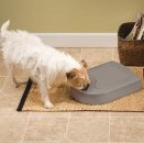 Фото 4 - миски, поилки, фонтаны PetSafe 5 MEAL PET FEEDER автоматическая кормушка для кошек и собак с таймером