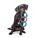Фото 3 - іграшки Petstages (Петстейджес) Dental Links Іграшка для собак Кільця для зубів