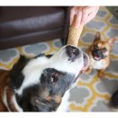 Фото 8 - игрушки Petstages DOGWOOD STICK игрушка для собак КРЕПКАЯ ВЕТКА