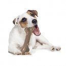 Фото 5 - іграшки Petstages LIVER BRANCH іграшка для собак ПЕЧІНКОВА ГІЛКА