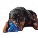 Фото 2 - іграшки PETSTAGES Orka Jack large rope - Іграшка Orка Джек велика для собак середніх та великих порід