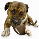 Фото 2 - игрушки Planet Dog FOOTBALL игрушка для собак ФУТБОЛЬНЫЙ МЯЧ