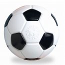 Фото - іграшки Planet Dog SOCCER BALL іграшка для собак М'ЯЧ ФУТБОЛЬНИЙ з маслом м'яти та отвором для ласощів