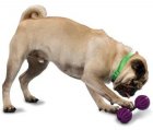 Фото 3 - игрушки PetSafe WAGGLE (Ваггл) Суперпрочная игрушка-лакомство для собак