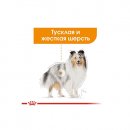 Фото 6 - вологий корм (консерви) Royal Canin COAT CARE вологий корм для собак для краси та блиску шерсті