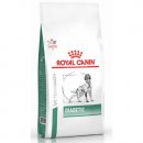 Фото - ветеринарные корма Royal Canin DIABETIC сухой лечебный корм для собак