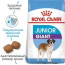 Фото - сухий корм Royal Canin GIANT JUNIOR (ЮНІОРИ ГІГАНТСЬКИХ ПОРОД) корм для цуценят від 8-24 місяців