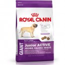 Фото - сухой корм Royal Canin GIANT JUNIOR ACTIVE (ЮНИОРЫ ГИГАНТСКИХ ПОРОД АКТИВ) корм для щенков от 8-24 месяцев