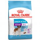 Фото - сухой корм Royal Canin GIANT JUNIOR ACTIVE (ЮНИОРЫ ГИГАНТСКИХ ПОРОД АКТИВ) корм для щенков от 8-24 месяцев