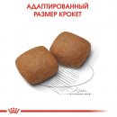 Фото - сухой корм Royal Canin GIANT JUNIOR ACTIVE (ЮНИОРЫ ГИГАНТСКИХ ПОРОД АКТИВ) корм для щенков от 8-24 месяцев