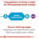 Фото - сухой корм Royal Canin GIANT JUNIOR ACTIVE (ЮНИОРЫ ГИГАНТСКИХ ПОРОД АКТИВ) корм для щенков от 8-24 месяцев