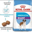 Фото - сухой корм Royal Canin GIANT JUNIOR ACTIVE (ЮНИОРЫ ГИГАНТСКИХ ПОРОД АКТИВ) корм для щенков от 8-24 месяцев