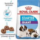 Фото - сухий корм Royal Canin GIANT STARTER MOTHER & BABYDOG корм для вагітних та годуючих сук та цуценят гігантських-порід