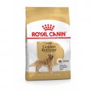 Фото - сухий корм Royal Canin GOLDEN RETRIEVER ADULT (ГОЛДЕН РЕТРІВЕР ЕДАЛТ) корм для собак від 15 місяців