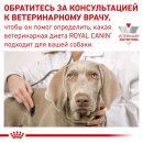 Фото - ветеринарные корма Royal Canin SKIN CARE ADULT лечебный корм для собак при кожных заболеваниях