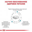 Фото - ветеринарные корма Royal Canin HYPOALLERGENIC MODERATE CALORIE - гипоаллергенный низкокалорийный корм для собак