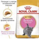 Фото - сухой корм Royal Canin Kitten BRITISH SHORTHAIR (БРИТАНСКАЯ КОРОТКОШЕРСТНАЯ КИТТЕН) корм для котят до 12 месяцев