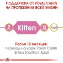 Фото - сухий корм Royal Canin Kitten BRITISH SHORTHAIR (БРИТАНСЬКА КОРОТКОШЕРСНА КІТТЕН) корм для кошенят до 12 місяців