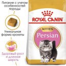 Фото - сухой корм Royal Canin KITTEN PERSIAN 32 (КИТТЕН ПЕРСИАН) корм для котят от 4-12 месяцев