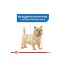 Фото 6 - вологий корм (консерви) Royal Canin LIGHT WEIGHT CARE вологий корм для собак схильних до ожиріння