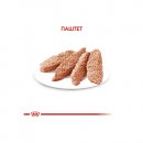 Фото 3 - вологий корм (консерви) Royal Canin LIGHT WEIGHT CARE вологий корм для собак схильних до ожиріння