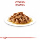 Фото 4 - влажный корм (консервы) Royal Canin MEDIUM PUPPY влажный корм для щенков средних пород от 2 до 12 месяцев