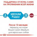 Фото 3 - влажный корм (консервы) Royal Canin MEDIUM PUPPY влажный корм для щенков средних пород от 2 до 12 месяцев