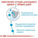 Фото 6 - влажный корм (консервы) Royal Canin MEDIUM PUPPY влажный корм для щенков средних пород от 2 до 12 месяцев