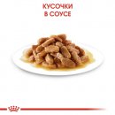 Фото 8 - влажный корм (консервы) Royal Canin MEDIUM PUPPY влажный корм для щенков средних пород от 2 до 12 месяцев