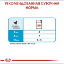 Фото 10 - влажный корм (консервы) Royal Canin MEDIUM PUPPY влажный корм для щенков средних пород от 2 до 12 месяцев