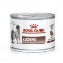 Фото - ветеринарные корма Royal Canin RECOVERY (РЕКАВЕРИ) лечебный влажный корм для собак и кошек