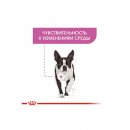 Фото 4 - влажный корм (консервы) Royal Canin RELAX CARE влажный корм для собак с успокаивающим действием