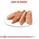 Фото 7 - влажный корм (консервы) Royal Canin RELAX CARE влажный корм для собак с успокаивающим действием