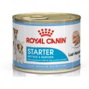 Фото - влажный корм (консервы) Royal Canin STARTER MOUSSE (СТАРТЕР МУС) влажный корм для щенков и сук при беременности и лактации