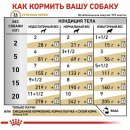 Фото 4 - ветеринарні корми Royal Canin URINARY S/O лікувальний вологий корм для собак