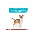 Фото 7 - влажный корм (консервы) Royal Canin URINARY CARE влажный корм для собак с чувствительной мочевыделительной системой