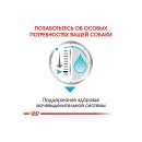Фото 5 - влажный корм (консервы) Royal Canin URINARY CARE влажный корм для собак с чувствительной мочевыделительной системой