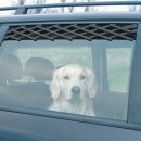 Фото 2 - аксесуари в авто Trixie Ventilation Lattice - Решітка на автомобільне вікно для перевезення собак