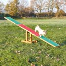 Фото 2 - дрессировка и спорт Trixie Agility Seesaw Доска-качалка тренировочная для собак (3213)