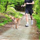 Фото 2 - амуніція Trixie JOGGING LEASH (ДЛЯ ПРОБІЖОК) повідець для собак, нейлон (12764)