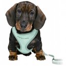 Фото 4 - амуниция Trixie Junior Puppy Soft Harness with Lead шлейка с поводком для щенков, мятный