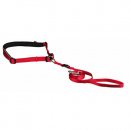 Фото 2 - амуніція Trixie WAIST BELT WITH LEASH повідець з поясним ременем для дрібних та середніх собак (12765)