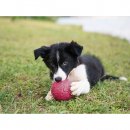 Фото 2 - іграшки West Paw BOZ DOG BALL іграшка-м'яч для собак ВЕЛИКИЙ