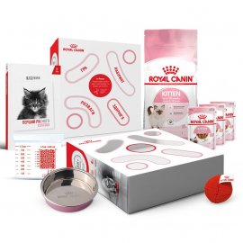 Royal Canin KITTEN (КIТТЕН) набір для кошенят до 12 месяців